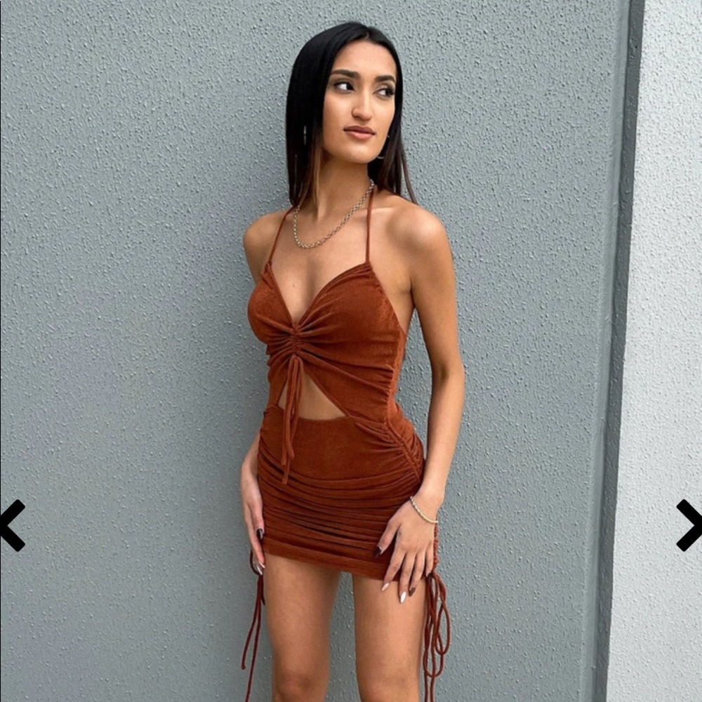 that’s so fetch isadora dress in brown rust